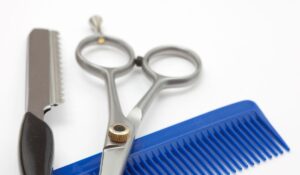 Senior Home Hair Care Toronto