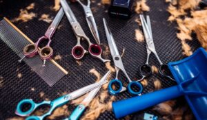 In-Home Senior Hairdresser Toronto