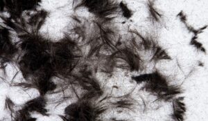 Toronto Senior Hairstyling Services